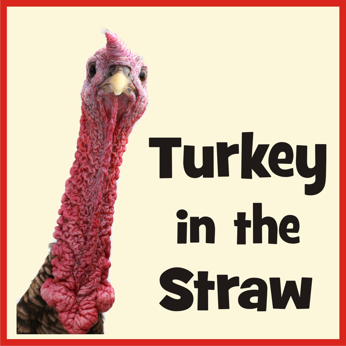 Fun and Lively “Turkey in the Straw” – The Thanksgiving Turkey’s Theme Song – 19th Century